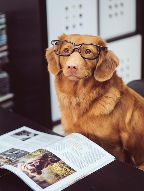 Donating Books to Libraries